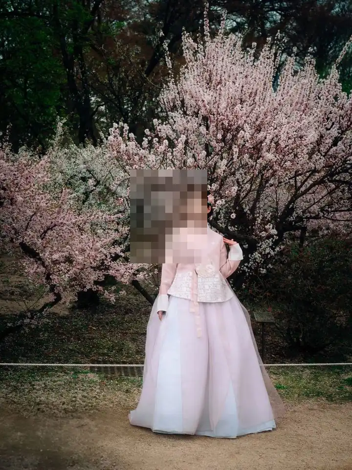 일산 한정식과 호텔을 비교하다, 봄 매화 아래 분홍 한복을 차려입은 여성